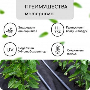 Greengo Материал мульчирующий, 10 ? 1.6 м, плотность 60 г/м?, спанбонд с УФ-стабилизатором, четыре ряда перфорации, чёрный