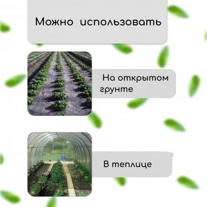 Материал мульчирующий, 10?1.6 м, плотность 60 г/м?, спанбонд с УФ-стабилизатором, четыре ряда перфорации, чёрный, Greengo