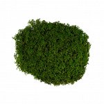 &quot;Blumentag&quot; BMSP-50B Мох стабилизированный окрашенный 50 г ± 5 г зеленый