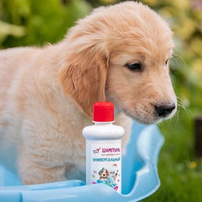 Средства для гигиены питомцев. Наличие. Средства для ухода за собаками ...