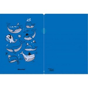 Папка-уголок А4 "Whales" синяя 255175 (1427870) SILWERHOF