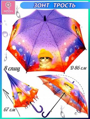 Зонт детский трость полуавтомат Кошки цвет Фиолетовый (DINIYA)
