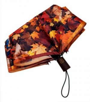 Зонт подростковый автомат Осень(кот) цвет Коричневый (DINIYA)