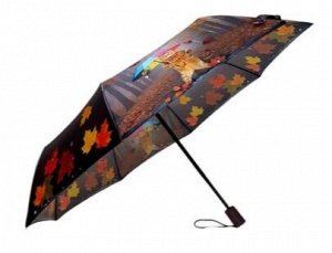 Зонт подростковый автомат Осень(кот) цвет Серый (DINIYA)