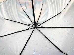 Зонт женский автомат ОКНА цвет Пыльная роза (DINIYA)