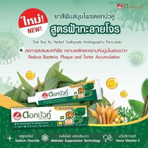 Зубная паста Herbal Зубная паста Twin Lotus, формула Fah Talai Jone ФА ТАЛАЙ ДЖОН 100g