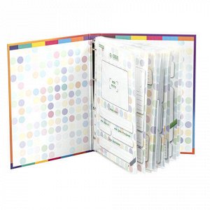 Папка-портфолио дошкольника "КОШЕЧКА", 4 кольца, 20 файлов, 10 вкладышей, 7БЦ матовая, BRAUBERG KIDS, 115237
