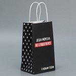 Пакет подарочный крафтовый «Деда Мороза нет», 12 * 21 * 9 см