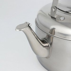 Чайник со свистком, 5 л, нержавеющая сталь, хромированный