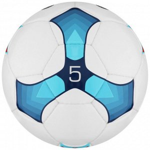 Мяч футбольный MINSA Training, PU, ручная сшивка, 32 панели, р. 5