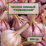 Чеснок Юбилейный Грибовский 0,5 кг