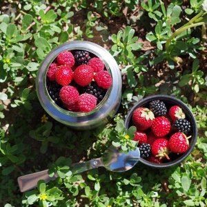 Термос нержавеющая сталь 0,75л широкое горло с ложкой