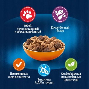 Сухой корм Felix "Двойная вкуснятина" для кошек, птица, 600 г