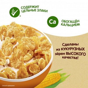ХРУТКА® Хлопья медовые хрустящие, обогащённые кальцием, пакет, 300 г