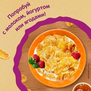 ХРУТКА® Хлопья медовые хрустящие, обогащённые кальцием, пакет, 300 г