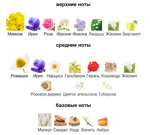 CERRUTI 1881 Eau de Toilette 100 ml Туалетная вода ТЕСТЕР