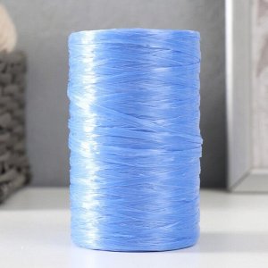 Пряжа "Для вязания мочалок" 100% полипропилен 400м/100±10 гр (ультрамарин) 7369201