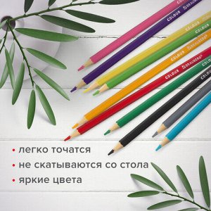 Карандаши цветные мягкие BRAUBERG АКАДЕМИЯ, 18 цветов, шестигранные, грифель 3 мм, натуральное дерево, 181865