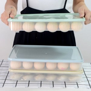 Контейнер для хранения яиц, 1 шт. на 24 ячейки, цвет в ассортименте, 30 х 23 х 5 см.