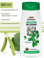 Белита шамп.480мл Березово-Дегтярный