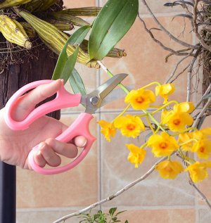 Садовые ножницы / Ножницы для подрезки цветов, 1 шт., цвет в ассортименте, 170 мм.