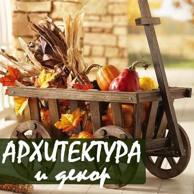 Наши телеги не уедут, но точно украдут ваше внимание