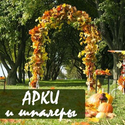 Металлические арки, шпалеры - ДАЧНЫЙ СЕЗОН: красивая осень на даче ...