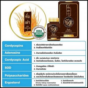 Cordyceps Plus Multi Vitamin B Кордицепс тибетский