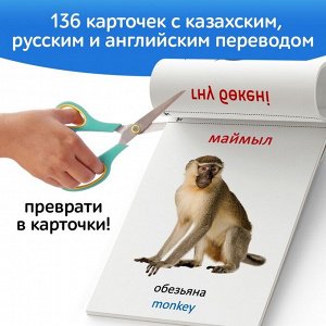 Набор книг по методике Г. Домана на казахском языке, 8 шт.