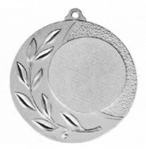 Медаль наградная 2 место (серебро)