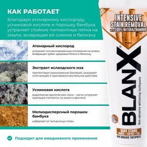 Зубная паста BlanX Stain Removal, 75 мл