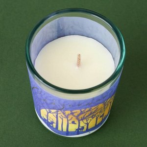 Новогодняя свеча в стакане «Сказочного года», аромат орех