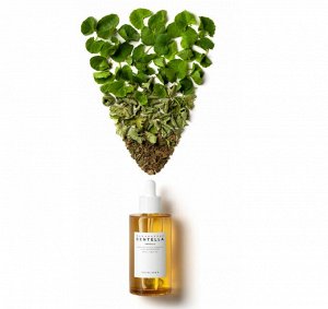 Ампула из 100% экстракта центеллы азиатской Madagascar Centella Ampoule