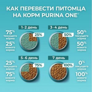 Purina ONE® Сухой корм для домашних кошек с индейкой и цельными злаками, Пакет, 750 г