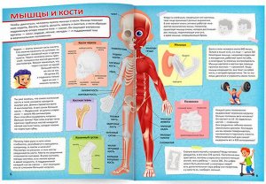 Атлас с наклейками. Тело человека. 21х29,7 см. 16 стр. ГЕОДОМ
