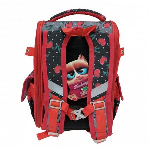 Школьный рюкзак ZDRASTi SchoolWise 3D