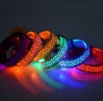 Ошейник светодиодный цвет: СИНИЙ