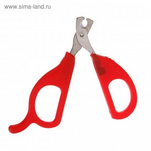 Ножницы-когтерезы малые с упором для пальца, 10 х 5 х 0,5 см, эконом, микс цветов   2581887