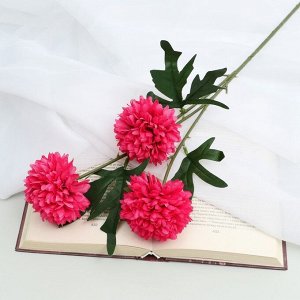 Цветы искусственные «Георгин шаровидный», 7x60 см, тёмно-розовые