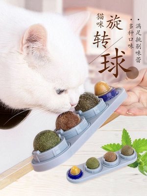 Кошачья мята лизун 3+1