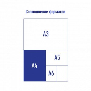 Папка-конверт на молнии Berlingo А4 "Nature", 180мкм, с рисунком