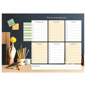 Магнитный планер расписание уроков с маркером А4 ArtSpace ""Пиши-Стирай. Домашнее задание""