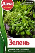 Зелень. Моя прекрасная дача 64стр.,210х148х7мм, Мягкая обложка