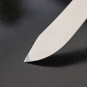 Нож кухонный Доляна «Мачете», лезвие 10 см