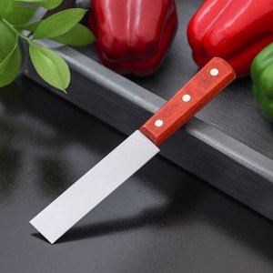 Нож для мяса и стейков Доляна «Мачете», лезвие 10 см