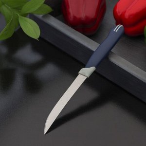 СИМА-ЛЕНД Нож для мяса и стейков Доляна «Страйп», лезвие 11,5 см