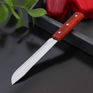 Нож для мяса и стейков Доляна «Мачете», лезвие 17,5 см
