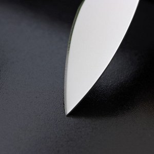Нож для сыра Доляна «Ломоть», ручка из гевеи, 12,1x3 см