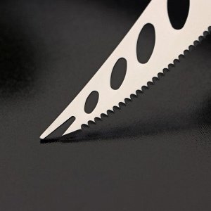Нож для сыра Доляна «Ломоть», ручка из гевеи, 14,4x3 см