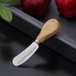 Нож для сыра Доляна «Ломоть», ручка из гевеи, 12,3?3 см